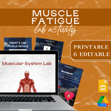 GOOGLE DRIVE | Anatomy Physiology MUSCLE FATIGUE LAB | Mus