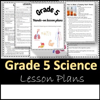 Preview of GR.5- Hands-On Lesson Plans, Strand. B2.