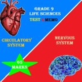 GRADE 9 LIFE SCIENCES TEST ON NERVOUS AND CIRCULATORY SYST