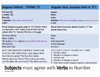 Preview of GRAMMAR: THE STRUGGLE SERIES: SUBJECT VERB AGREEMENT (ENGAGING)
