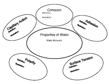 Preview of GRAPHIC ORGANIZER: Introductory ELA-Development for Chemistry of Water