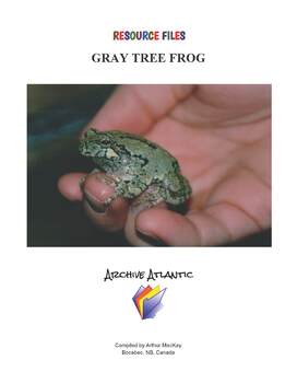 Preview of GRAY TREE FROG COLLECTION