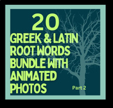 GREEK and LATIN ROOTS #2 Digital Activity and Lesson for P