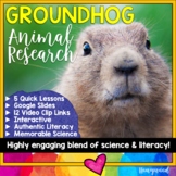 GROUNDHOG  . 5 days of FUN animal research w/ video links,