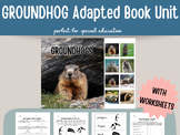 GROUNDHOG Adapted Book for Special ed WITH worksheets and 