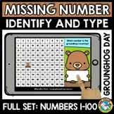 GROUNDHOG DAY ACTIVITY 1ST GRADE MISSING NUMBERS TO 100 CH