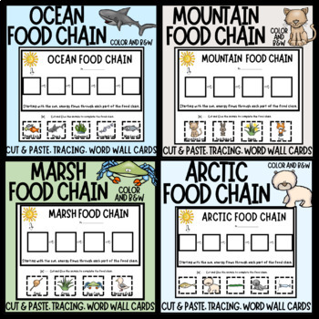Preview of Food Chain Activities- Ocean, Marsh, Arctic, Mountain Food Chains, Word Walls