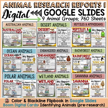 Preview of ANIMAL REPORTS DIGITAL BUNDLE