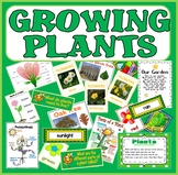 GROWING PLANTS SCIENCE-EARLY YEARS KEY STAGE 1-2 FLOWERS TREES