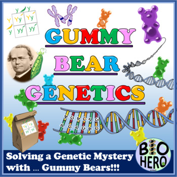 Preview of GUMMY BEAR GENETICS LAB