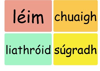 Preview of Gaeilge High Frequency Words 41 - 80