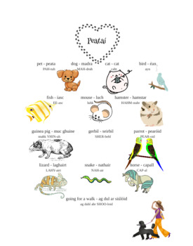 Preview of Gaeilge/Irish Peataí/Pets vocabulary 