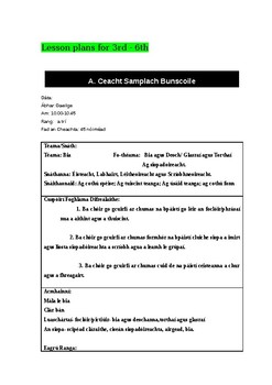 Preview of Gaeilge: Irish - Sample Lesson Plans. Over 100 Pages! ***Fantastic Resource***