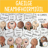Gaeilge Neamhfhoirmiúil Ceisteanna: Irish Display Pack