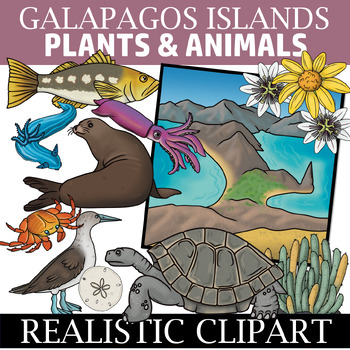 Preview of Galapagos Islands Clipart