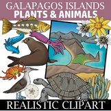 Galapagos Islands Clipart