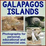 Galapagos Islands Photographs