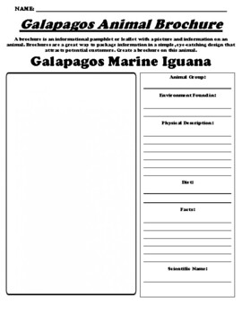Preview of Galapagos Marine Iguana "Galapagos Animal" Brochure Worksheet & WebQuest