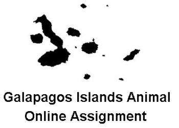 Preview of Galapagos Marine Iguana "Mini Research" Assignment