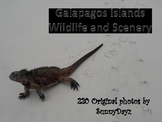 Galapagos Photos and Scenery - 220 Photos for school use
