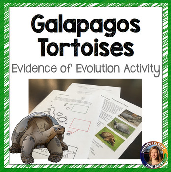 Preview of Galapagos Tortoises Evidence of Evolution Activity