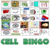 Game: Cell bingo games (5 in person, 2 for remote learning)