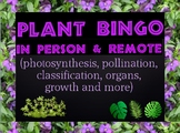 Game: Plant bingo (remote and in person versions)
