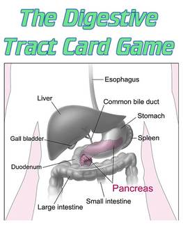 Preview of Game: The Digestive System card game