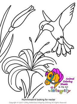 Blue Jay Coloring Pages - ColoringAll