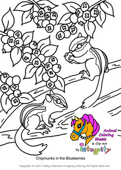 Blue Jay Coloring Pages - ColoringAll