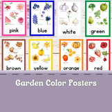 Garden Fruit, Flower, & Vegetable Color Flashcards
