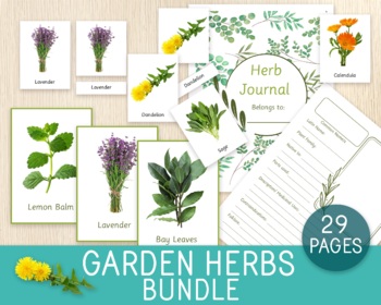 Preview of Garden Herbs BUNDLE, Flashcards, 3-Part Cards, 1 Chart, Herb Journal Pages