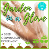 Garden In A Glove: A Seed Germination Science Experiment -