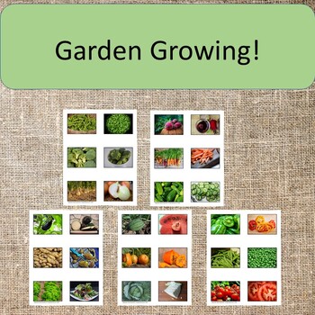 Preview of Garden Matching Cards Montessori Preschool Spring Summer
