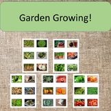 Garden Matching Cards Montessori Preschool Spring Summer
