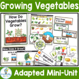 Garden Growing Plants Adapted Book and Activities
