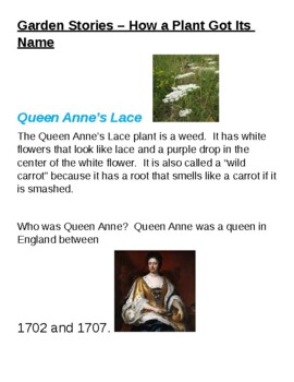 Preview of Garden Stories:  Queen Anne's Lace and how a flower is named