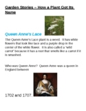 Garden Stories:  Queen Anne's Lace and how a flower is named
