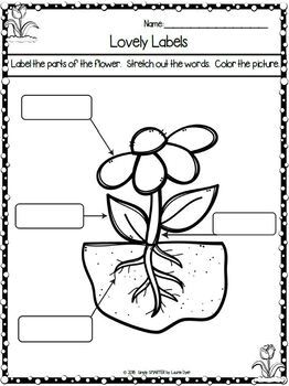 garden themed kindergarten math and literacy worksheets