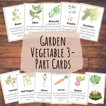 Preview of Garden Vegetable Three Part Nomenclature Cards | Vocab Practice