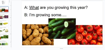 Preview of Gardening Small Talk ppt