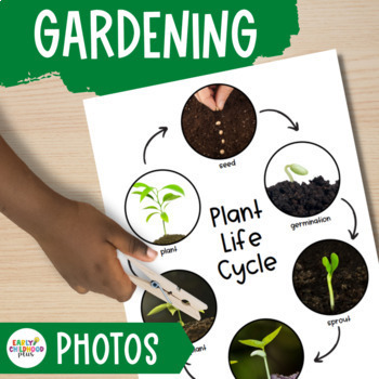 Preview of Gardening Study Real Photos for The Creative Curriculum