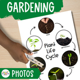 Gardening Study Real Photos for The Creative Curriculum