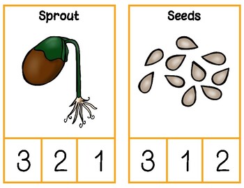Gardening Study Syllable Clip Cards by Preschool Productions | TpT