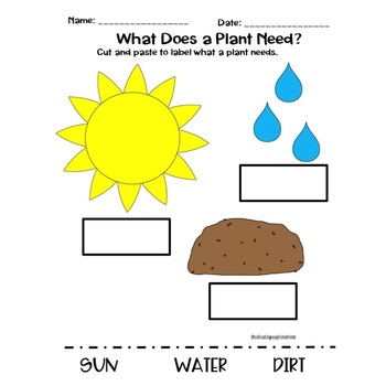 Back to School | Home Learning Packet | Science | What Plants Need to Grow