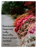 Gardens, Growing, & Flowers Bulletin Board Posters
