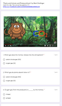 Preview of Gas Exchange in Photosynthesis & Cellular Respiration Google Form Video activity