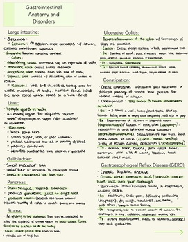 Preview of Gastrointestinal Anatomy and Disorders 2