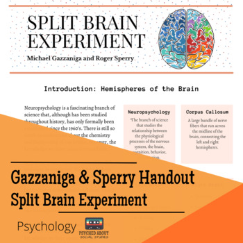 split brain thought experiment