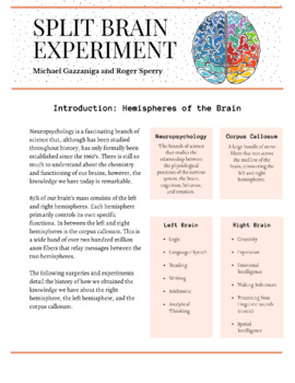 split brain thought experiment